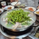 참복집 - 영등포구 | 광화문 복어맛집! 복지리에 소주가 절로 생각나는 참복집