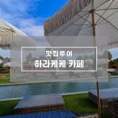 하리네 | 서귀포 오션뷰 감성 카페 추천 하라케케 제주 힐링 루프탑 카페 후기
