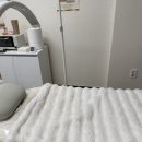 비비드 속눈썹 이미지