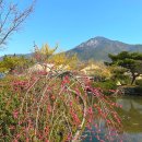 낙안읍성(남문물레방아 옆) 화장실 | 납월홍매와 함께 찾아온 순천 낙안읍성의 봄