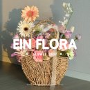 아인플로라 | [홍성/꽃집] 홍주 아인플로라 Ein Flora, 선물하기 좋은 세미꽃바구니 후기