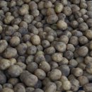 감자창고 이미지