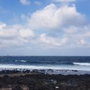 방배로31길 65 이미지