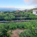 선학농장 이미지