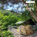 백운힐링밸리 | 계곡에서 텐트와 취사, 불멍가능한 포천 백운 힐링캠핑장 후기