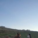 신의목장 이미지