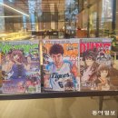 엔돌핀멀티방 이미지