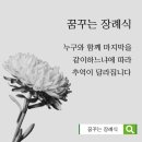 지샘병원 앞 이미지