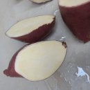 상월고구마두레영농조합법인 | 상월고구마 3KG 충남마을기업 상월고구마두레영농조합법인꺼 맛있어요