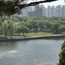 난지천3(축구장) | 서울 피크닉 장소 3곳 추천 비추천 주차꿀팁. 선유도공원 양화한강공원 난지천공원 (피크닉에 미친자 ver)