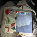 A330 | 티웨이항공 비즈니스 좌석 비교｜B777-300ER vs A330-300 실제 탑승 후기