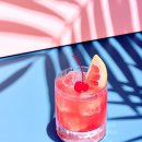 바리스타(창업) 이미지