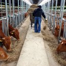 경종농장 이미지