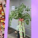 여수강남요양병원 이미지
