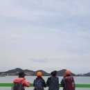 낭도 Daum카페