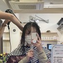 마지크헤어 이미지