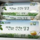 영농조합법인 무지개농장 이미지