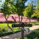 아양사랑숲 이미지