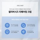 메디리버