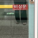 여름을 뒤집었더니 호떡ㅇ,, 아니 가을이 됐다🍃