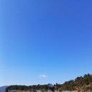 낭도 Daum카페