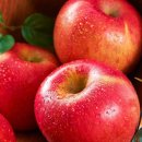 가을 제철과일 '감,배,사과,포도'의 효능 이미지