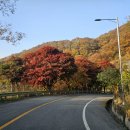 옥상파티 이미지