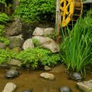 동물보육원 이미지