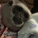 씨부티크호텔 이미지