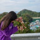 산양초등학교곤리분교장 이미지