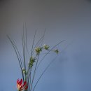 호안다구박물관 이미지