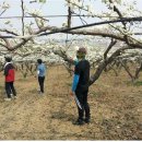 천안연암대학 이미지