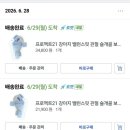 플러스프로젝트 | 프로젝트21 밸런스핏 플러스 6개월 사용 후기(슬개골 탈구 3기, 치와와)