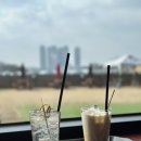 오렌지 애견카페 이미지