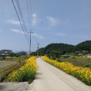 진동종합복지관 탁구장 이미지