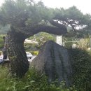 정원식당 앞 이미지