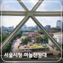 해솔초 정문 횡단보도 서측 | 서울시청 하늘전망대 무료 개방 운영시간 가는법 솔직 뷰 후기 정동전망대 연계 코스