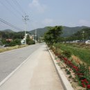 봉곡2리(아랫말) 이미지