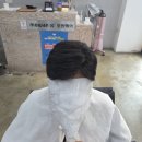 원헤어가발점 | 부산 기장 일광 가발전문점 /남자혼주 아버님가발대여. 겨혼식 하루를 위한 기장 자연스러운 선택