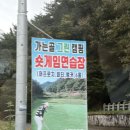 가는골그린캠핑