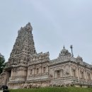 케이에스 사료 | 쿠알라룸푸르 자유여행, 투어말레이시아 반딧불 블루티어스 투어 + KLCC야경