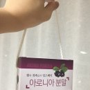 옛찬 이미지
