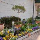 금남세탁소 이미지