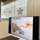 시그니아 독일보청기 인천부평센터 | 인천 남동구 보청기 가격 비교, 한쪽·양쪽 비용부터 정부지원보청기 정리