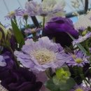 좋은사람들공인중개사사무소 이미지