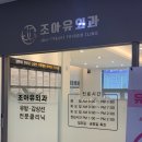 싱싱에프에스 | 우리집 꽃개랑 벚꽃놀이