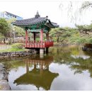 여의도공원 잔디마당 어린이놀이터 티스토리