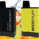 바른약국 이미지