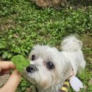 해봄동물병원 이미지