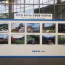 안인농장 이미지